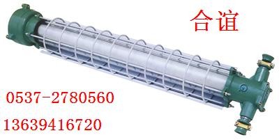 供应DGS-20／127Y矿用隔爆型荧光灯 
